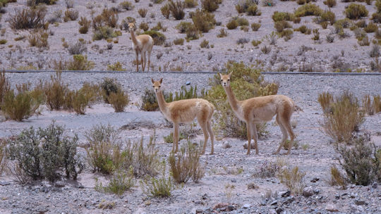 Train des nuages en manoeuvre 