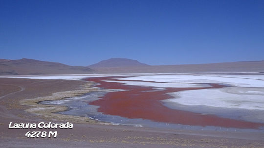 Laguna colorada 1