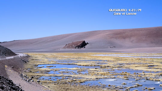 Salar de auisquiro 