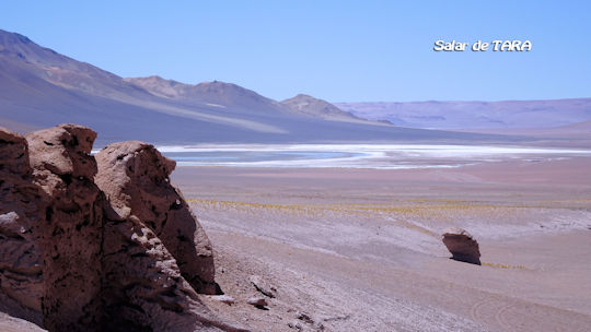 Salar de Tara