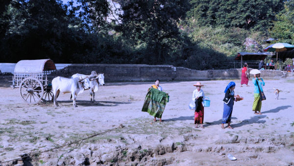 Vendeuses sur la rive