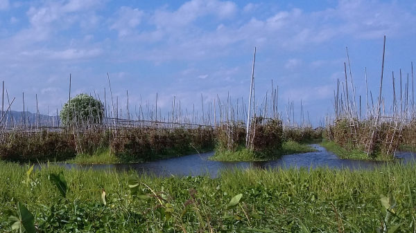 Sapan sur voie d'eau