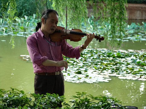 violoniste au parc du Dragon