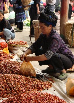 Vente de piment rouge