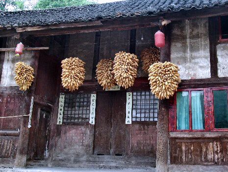 Mais séchant à Wangche