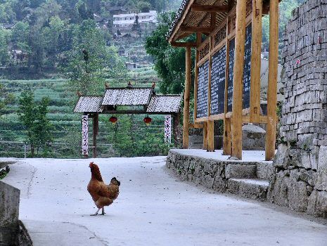 Rue principale au village de Wangche