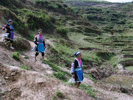 Femmes Miao descendant un chemin