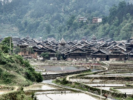 Fin de la rando à Zhaoxing