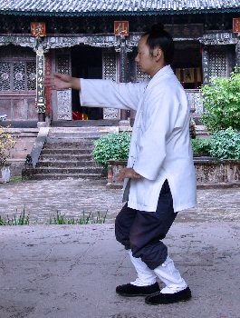 Tai Ji 3