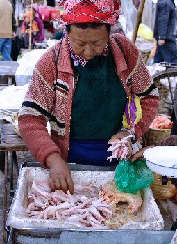 Vente de pattes de poules