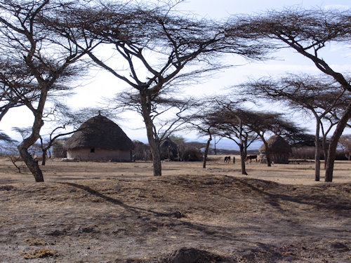 Paysage Ethiopien