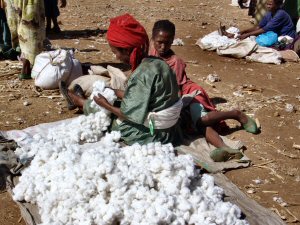 Coton au marché de Chencha