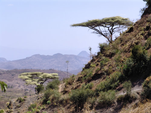 Panorama Pays Konso