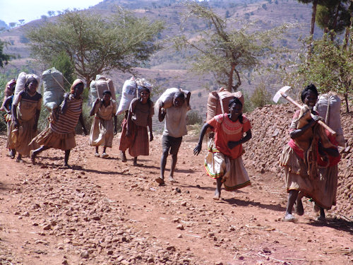 Transport du coton vers Konso