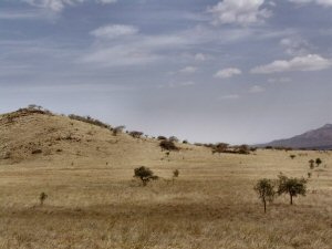 Plaine et colline du Nechisar