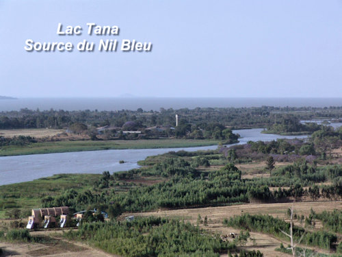 Nil Bleu et lac Tana