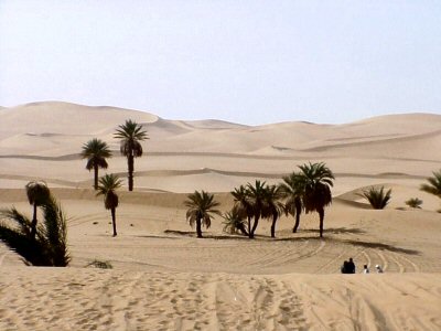 Dunes prs d'Awbari