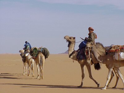 Caravane en marche