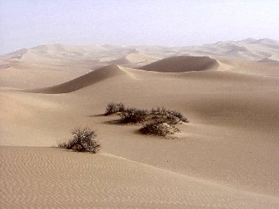 Dunes