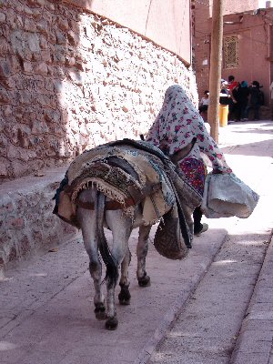 vieille femme et son ane