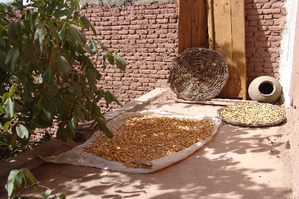 Schage des tranches de pommes