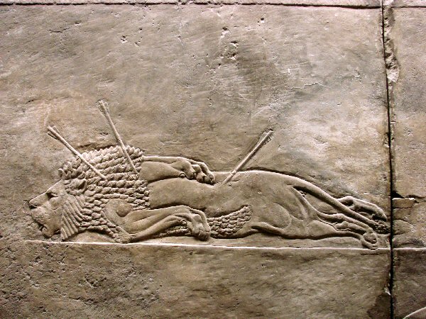 Chasse au lion (Nimrud 865 BC)