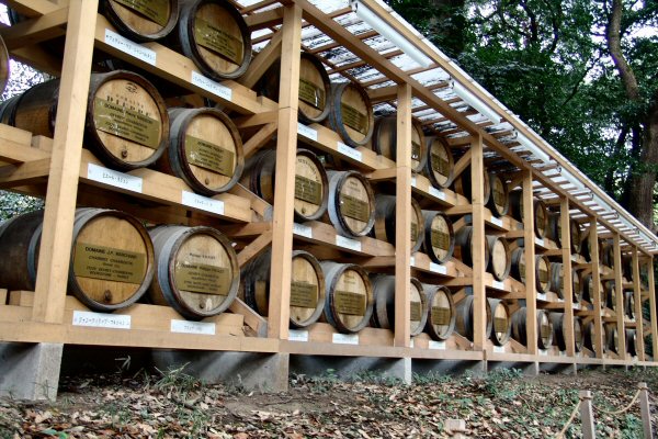 Tokyo - Barriques de Bourgogne, Parc du Meiji