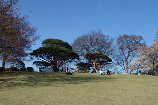 Tokyo - Parc de Shinjuku