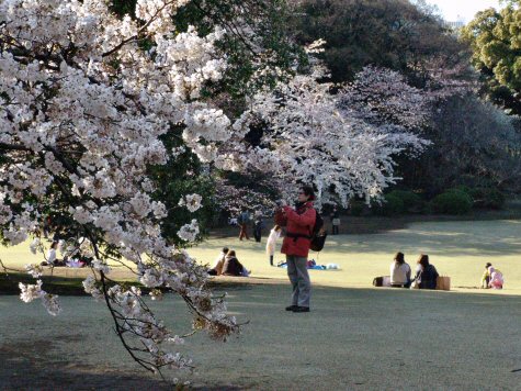 Parc Shibuya-Ku