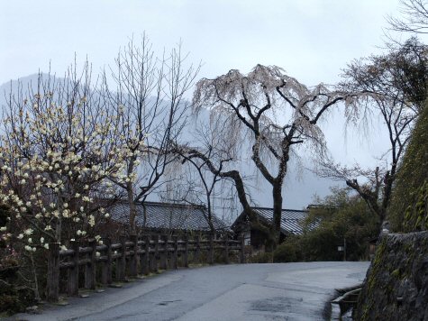 la voie Nakasendo  Tsumago