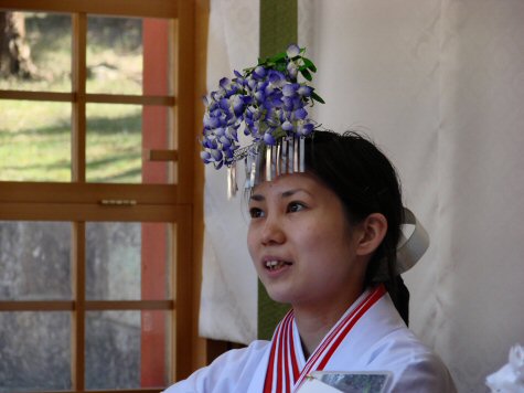 officiante shinto  la fleur d'hortensia