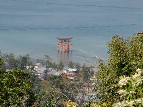 Torii vu du haut du Mt Misen