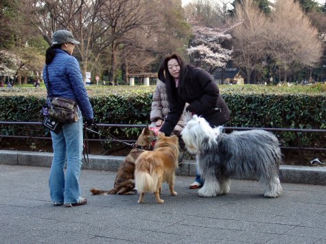 Rencontre au parc