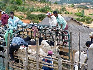 Chargement de zbus