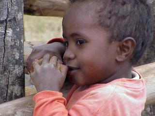 enfant aux zbus