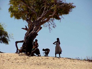 Attente sur la dune