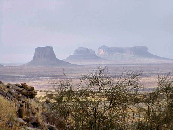 Sculptures du desert