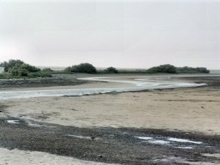 Lagune du banc d'Arguin