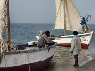 Préparatif à l'embarquement