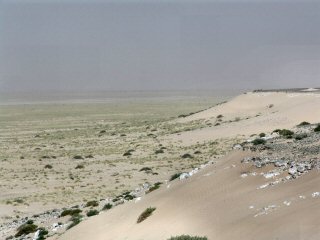 Dune en surplomb du rivage