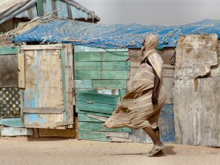 Pousse par le vent de sable