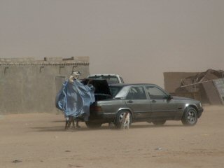 Mecedes dans le vent de sable