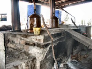 Distillation du Mezcal