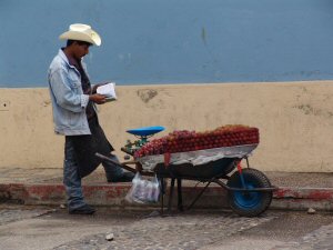 vendeur de fruits de saison