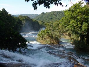 Vue générale d'Agua Azul