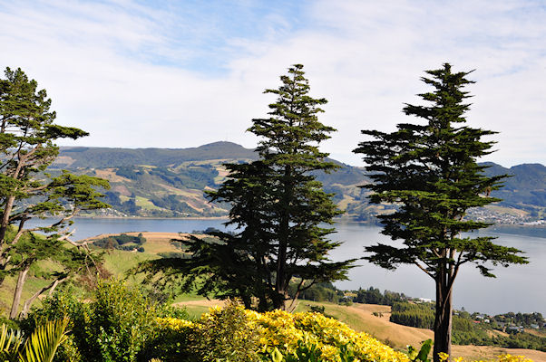 Parc du Chateau de Larnach