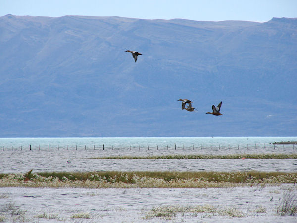 Lagune de Nimez