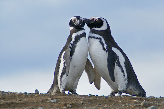 Petit calin entre parents ?