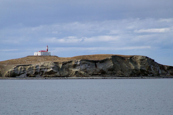 Ile Mafdalena et son phare