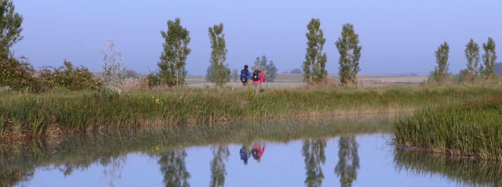 Canal d'irrigation